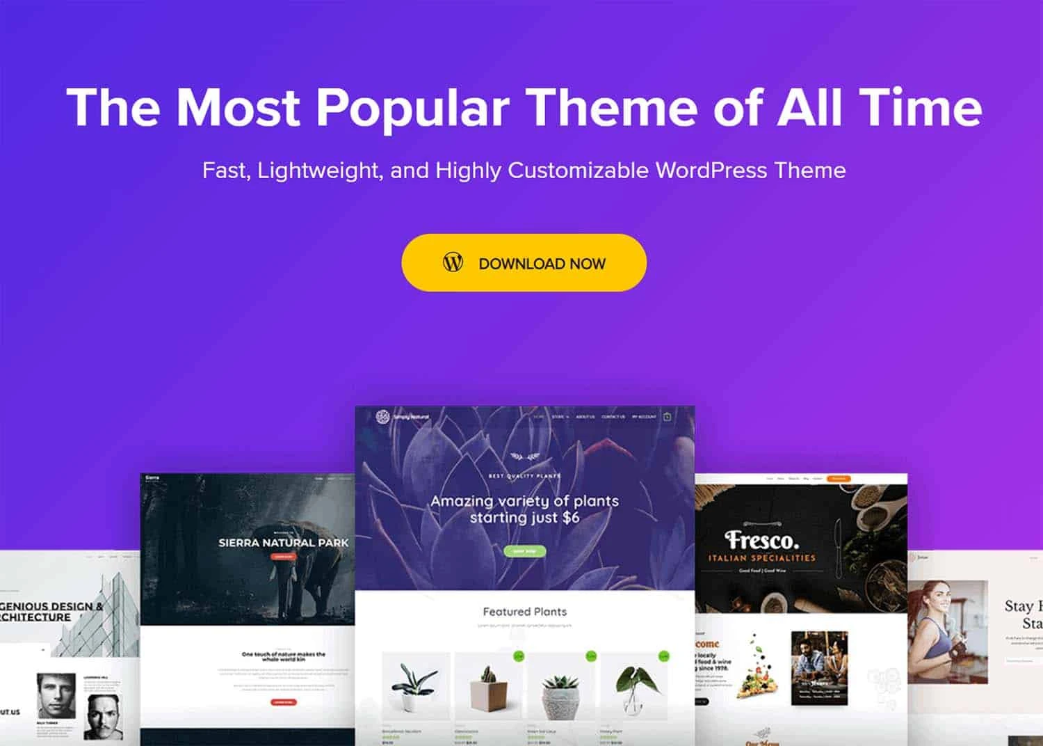 Astra Premium Starter Templates v4.4.19 开心版（GPL协议）