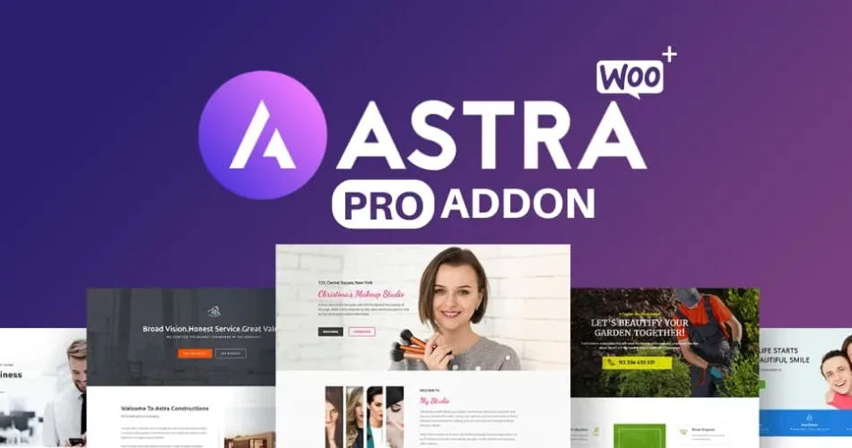 Astra Pro Addon v4.10 开心版（GPL协议）