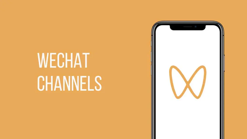 微信视频号下载利器wechatVideoDownload