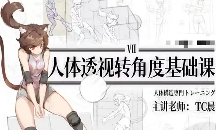 TC晨透视转角度基础课第7期2023年（高清画质无素材）